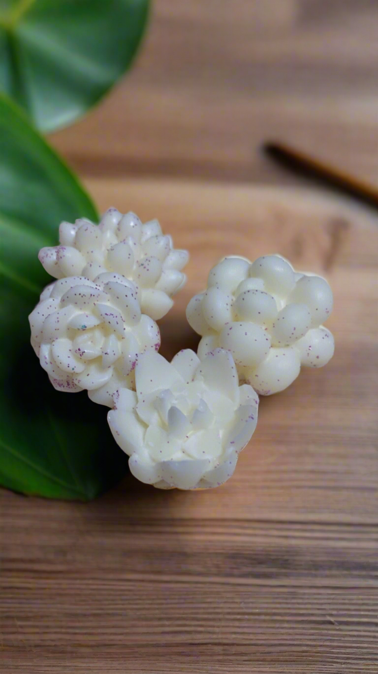 Aromatic Wax melts