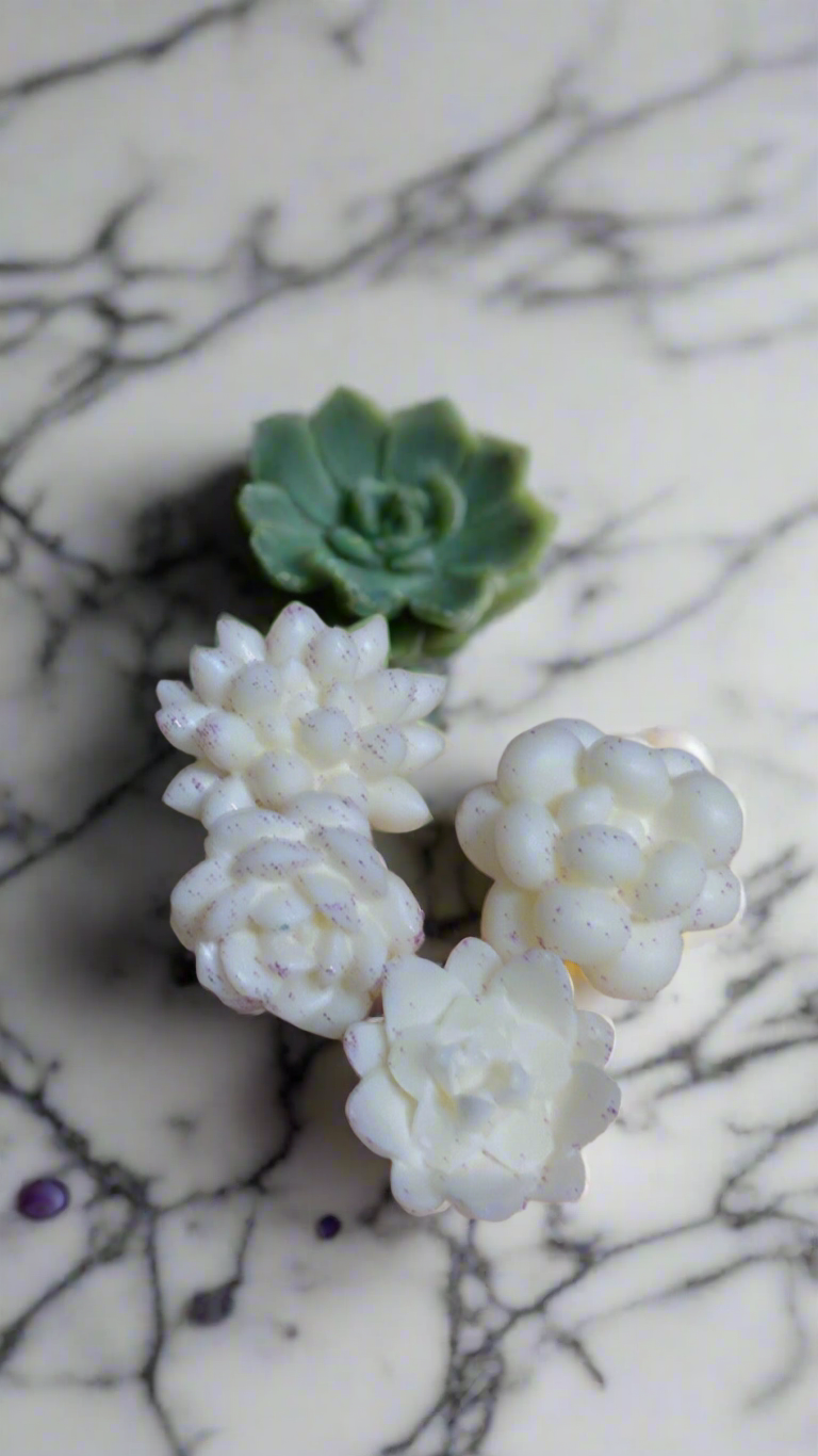 Aromatic Wax melts